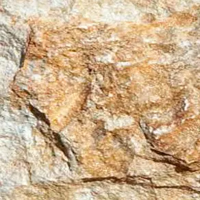 БФ 907_292.jpg